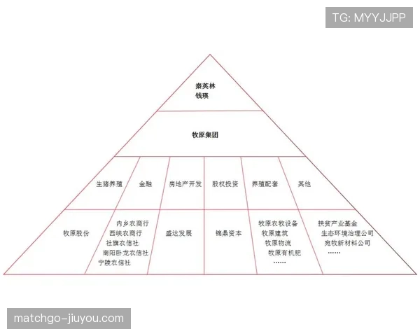 规则拆解型丨足球中取消进球的几大关键判罚条件解析 规则拆解型丨足球中取消进球的几大关键判罚条件解析