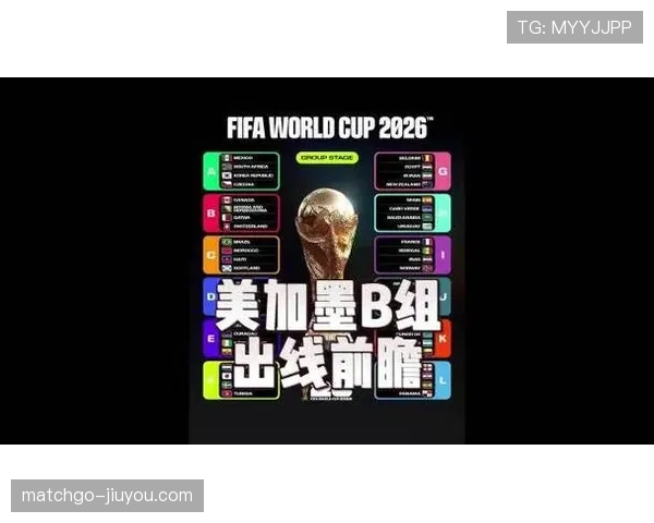 波黑队2026世界杯预选赛突围形势分析 黄金一代能否圆梦美加墨